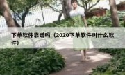 下单软件靠谱吗（2020下单软件叫什么软件）