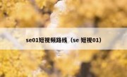 se01短视频路线（se 短视01）