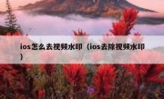 ios怎么去视频水印（ios去除视频水印）