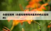 白鹿短视频（白鹿短视频培训是真的吗还是假的）