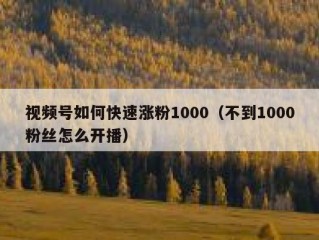 视频号如何快速涨粉1000（不到1000粉丝怎么开播）