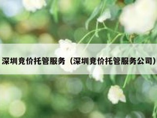 深圳竞价托管服务（深圳竞价托管服务公司）