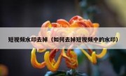 短视频水印去掉（如何去掉短视频中的水印）