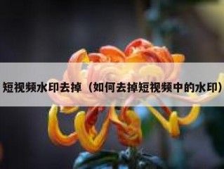 短视频水印去掉（如何去掉短视频中的水印）