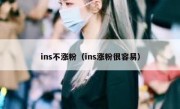 ins不涨粉（ins涨粉很容易）