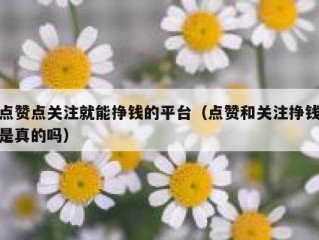 点赞点关注就能挣钱的平台（点赞和关注挣钱是真的吗）