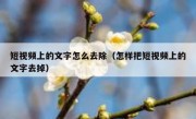 短视频上的文字怎么去除（怎样把短视频上的文字去掉）