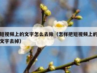 短视频上的文字怎么去除（怎样把短视频上的文字去掉）