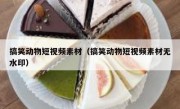 搞笑动物短视频素材（搞笑动物短视频素材无水印）