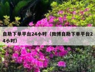 自助下单平台24小时（微博自助下单平台24小时）