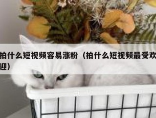 拍什么短视频容易涨粉（拍什么短视频最受欢迎）