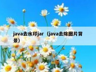 java去水印jar（java去除图片背景）