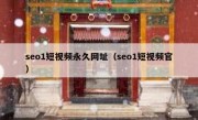 seo1短视频永久网址（seo1短视频官）