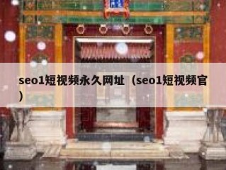 seo1短视频永久网址（seo1短视频官）