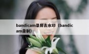 bandicam录屏去水印（bandicam录制）