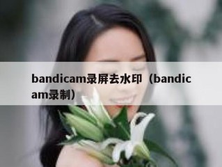 bandicam录屏去水印（bandicam录制）