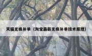 天猫无痕补单（淘宝最新无痕补单技术原理）