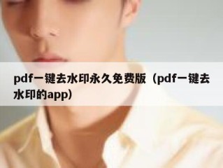 pdf一键去水印永久免费版（pdf一键去水印的app）