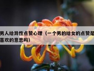 男人给异性点赞心理（一个男的给女的点赞是喜欢的意思吗）