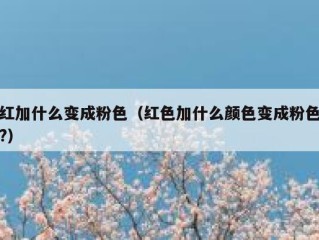 红加什么变成粉色（红色加什么颜色变成粉色?）