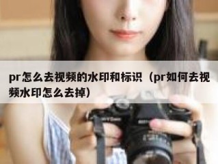 pr怎么去视频的水印和标识（pr如何去视频水印怎么去掉）