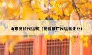 山东竞价代运营（竞价推广代运营企业）