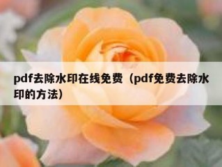 pdf去除水印在线免费（pdf免费去除水印的方法）