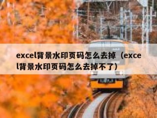 excel背景水印页码怎么去掉（excel背景水印页码怎么去掉不了）