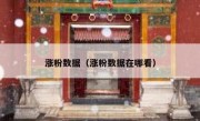 涨粉数据（涨粉数据在哪看）