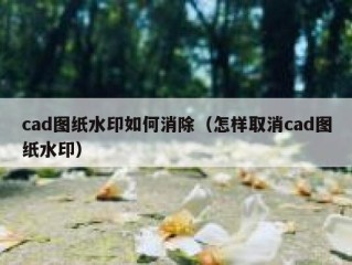 cad图纸水印如何消除（怎样取消cad图纸水印）