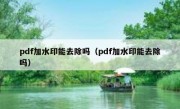 pdf加水印能去除吗（pdf加水印能去除吗）