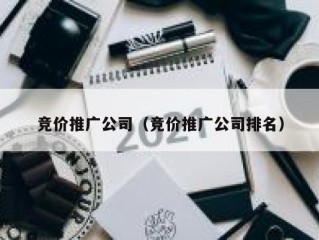 竞价推广公司（竞价推广公司排名）