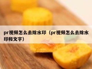 pr视频怎么去除水印（pr视频怎么去除水印和文字）