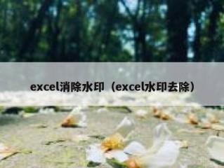 excel消除水印（excel水印去除）