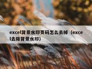 excel背景水印页码怎么去掉（excel去除背景水印）