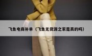 飞鱼电商补单（飞鱼无货源之家是真的吗）