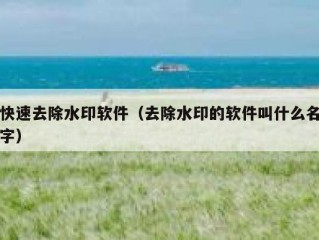 快速去除水印软件（去除水印的软件叫什么名字）