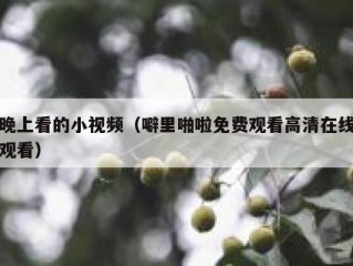 晚上看的小视频（噼里啪啦免费观看高清在线观看）