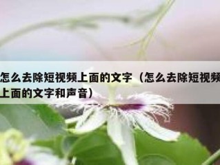 怎么去除短视频上面的文字（怎么去除短视频上面的文字和声音）