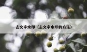 去文字水印（去文字水印的方法）