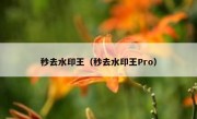 秒去水印王（秒去水印王Pro）