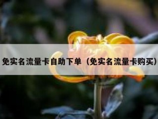 免实名流量卡自助下单（免实名流量卡购买）