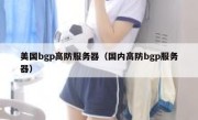 美国bgp高防服务器（国内高防bgp服务器）