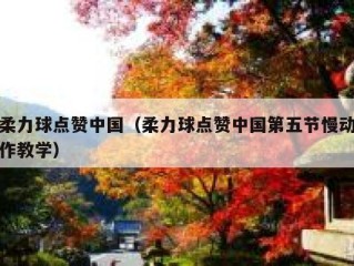 柔力球点赞中国（柔力球点赞中国第五节慢动作教学）