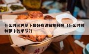 什么时间种萝卜最好有讲解视频吗（什么时候种萝卜的季节?）