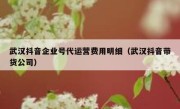 武汉抖音企业号代运营费用明细（武汉抖音带货公司）