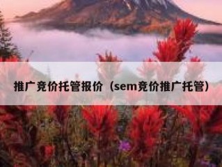 推广竞价托管报价（sem竞价推广托管）