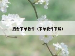 后台下单软件（下单软件下载）