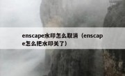 enscape水印怎么取消（enscape怎么把水印关了）