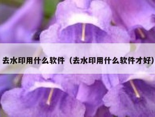 去水印用什么软件（去水印用什么软件才好）